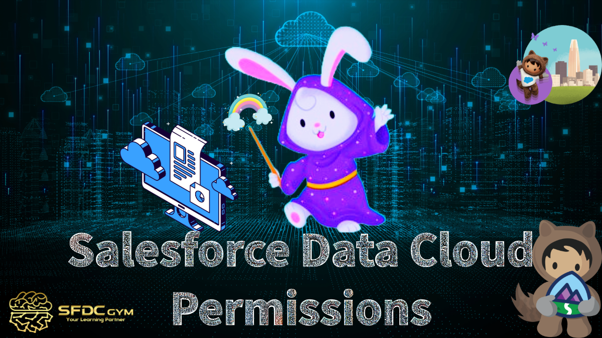 Navigating the Salesforce Data Cloud Permission Maze